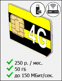 SIM Beeline 50GB